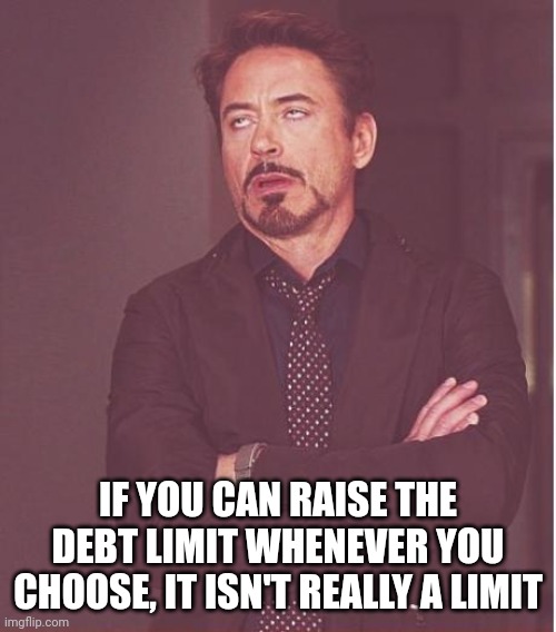 From tax and spend to borrow and spend | IF YOU CAN RAISE THE DEBT LIMIT WHENEVER YOU CHOOSE, IT ISN'T REALLY A LIMIT | image tagged in memes,face you make robert downey jr,debt limit | made w/ Imgflip meme maker