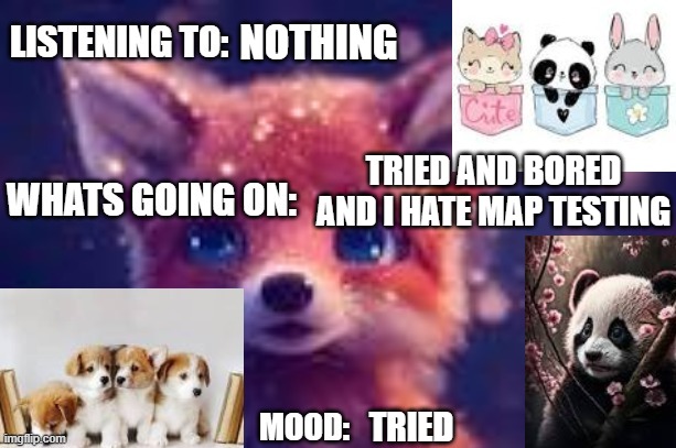 cute | NOTHING; TRIED AND BORED AND I HATE MAP TESTING; TRIED | image tagged in cute | made w/ Imgflip meme maker