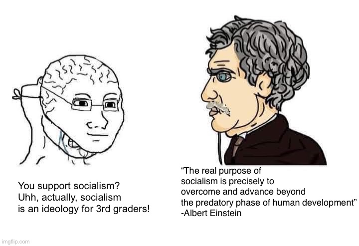Fake intellectual Wojak vs. philosopher chad | “The real purpose of socialism is precisely to overcome and advance beyond the predatory phase of human development”
-Albert Einstein; You support socialism? Uhh, actually, socialism is an ideology for 3rd graders! | image tagged in fake intellectual wojak vs philosopher chad | made w/ Imgflip meme maker