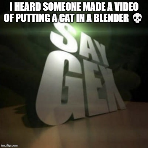 tf has this world become | I HEARD SOMEONE MADE A VIDEO OF PUTTING A CAT IN A BLENDER 💀 | image tagged in say gex | made w/ Imgflip meme maker