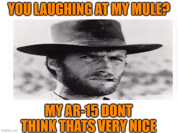 YOU LAUGHING AT MY MULE? MY AR-15 DONT THINK THATS VERY NICE | made w/ Imgflip meme maker