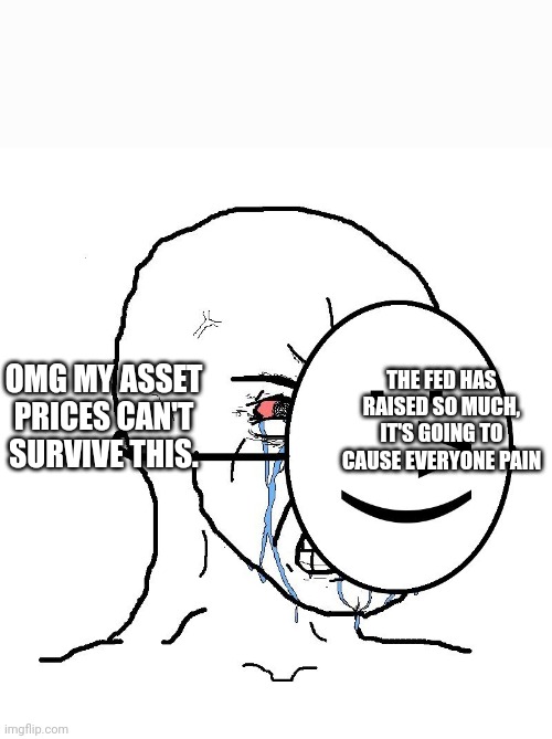 Crying behind mask | OMG MY ASSET PRICES CAN'T SURVIVE THIS. THE FED HAS RAISED SO MUCH, IT'S GOING TO CAUSE EVERYONE PAIN | image tagged in crying behind mask | made w/ Imgflip meme maker