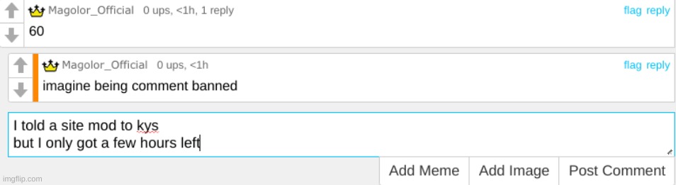 made w/ Imgflip meme maker