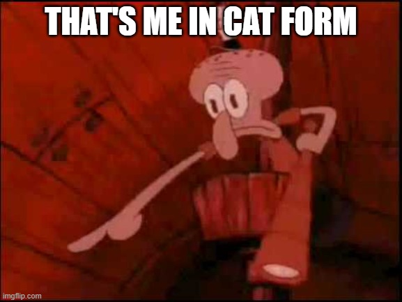 Squidward pointing | THAT'S ME IN CAT FORM | image tagged in squidward pointing | made w/ Imgflip meme maker