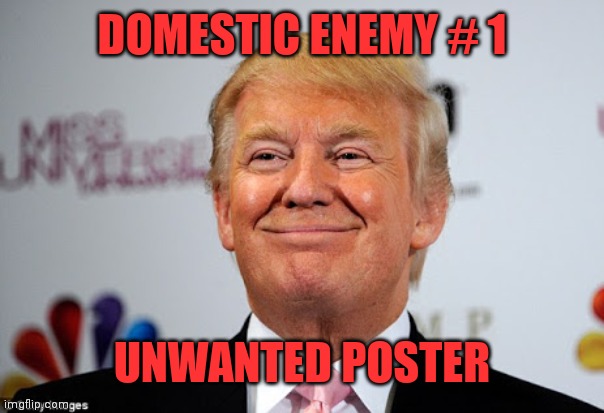 Donald trump approves | DOMESTIC ENEMY # 1; UNWANTED POSTER | image tagged in donald trump approves | made w/ Imgflip meme maker