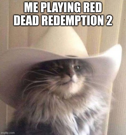 I seriously felt like a cowboy | ME PLAYING RED DEAD REDEMPTION 2 | image tagged in meowdy | made w/ Imgflip meme maker