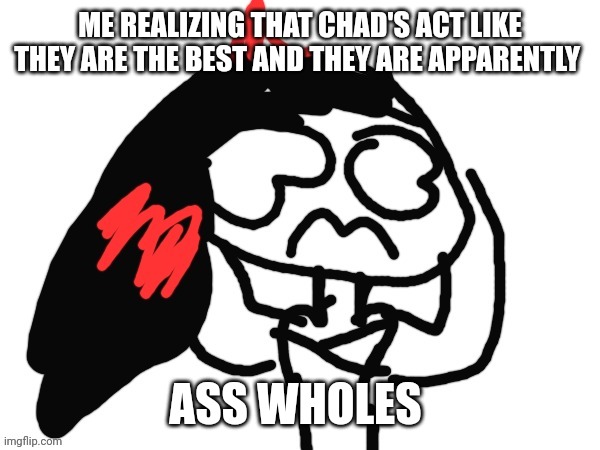Idk | ME REALIZING THAT CHAD'S ACT LIKE THEY ARE THE BEST AND THEY ARE APPARENTLY; ASS WHOLES | image tagged in scarlet screaming | made w/ Imgflip meme maker