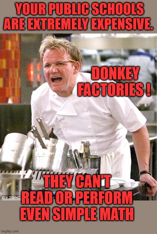 Sorry but it’s true | YOUR PUBLIC SCHOOLS ARE EXTREMELY EXPENSIVE. DONKEY FACTORIES ! THEY CAN'T READ OR PERFORM EVEN SIMPLE MATH | image tagged in memes,chef gordon ramsay | made w/ Imgflip meme maker