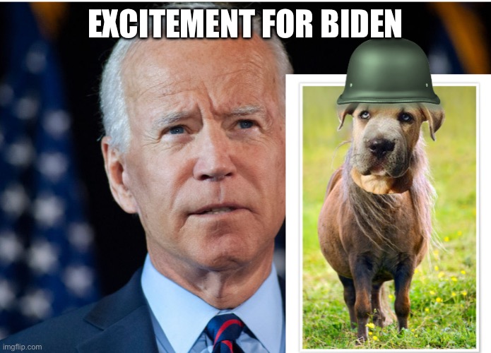 Lying Dog Faced Pony Soldier | EXCITEMENT FOR BIDEN | image tagged in lying dog faced pony soldier | made w/ Imgflip meme maker