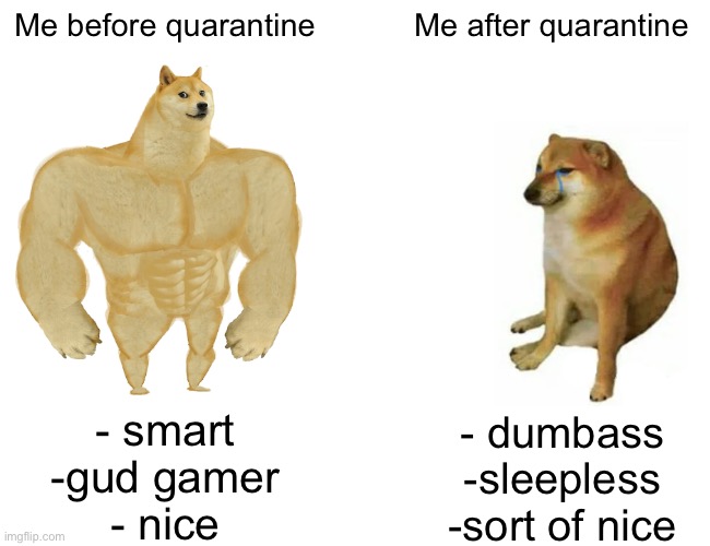Buff Doge vs. Cheems Meme | Me before quarantine; Me after quarantine; - smart
-gud gamer
- nice; - dumbass
-sleepless
-sort of nice | image tagged in memes,buff doge vs cheems | made w/ Imgflip meme maker
