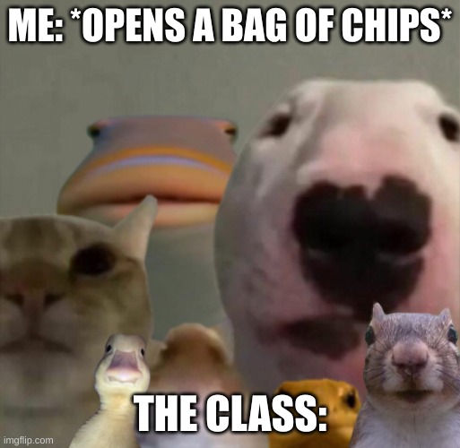 *crunch* | ME: *OPENS A BAG OF CHIPS*; THE CLASS: | image tagged in the council remastered | made w/ Imgflip meme maker