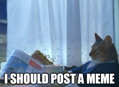 I Should Buy A Boat Cat | I SHOULD POST A MEME | image tagged in memes,i should buy a boat cat,AdviceAnimals | made w/ Imgflip meme maker