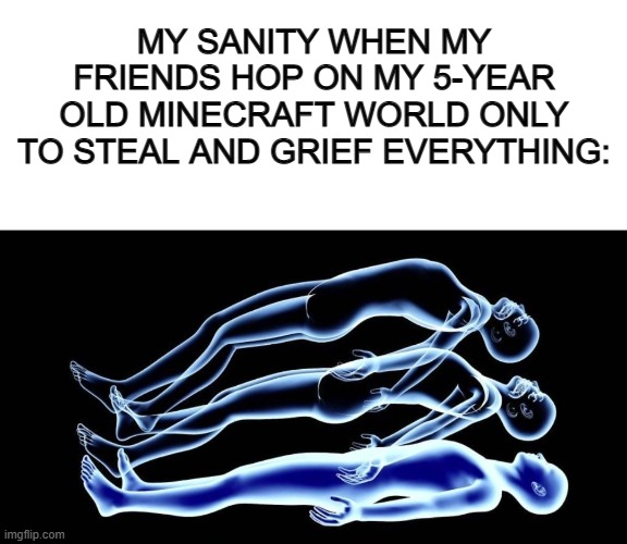 ._. | MY SANITY WHEN MY FRIENDS HOP ON MY 5-YEAR OLD MINECRAFT WORLD ONLY TO STEAL AND GRIEF EVERYTHING: | image tagged in blank white template,leaving my body | made w/ Imgflip meme maker