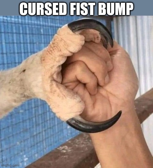 CURSED FIST BUMP | made w/ Imgflip meme maker
