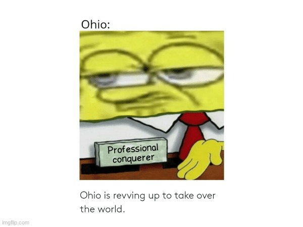 Ohio professionals | image tagged in ohio | made w/ Imgflip meme maker