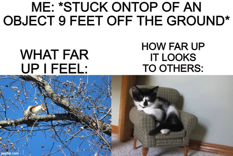 Jumping off playground equipment always makes me feel like I'm gonna break my legs X_X | ME: *STUCK ONTOP OF AN OBJECT 9 FEET OFF THE GROUND*; WHAT FAR UP I FEEL:; HOW FAR UP IT LOOKS TO OTHERS: | image tagged in blank white template | made w/ Imgflip meme maker