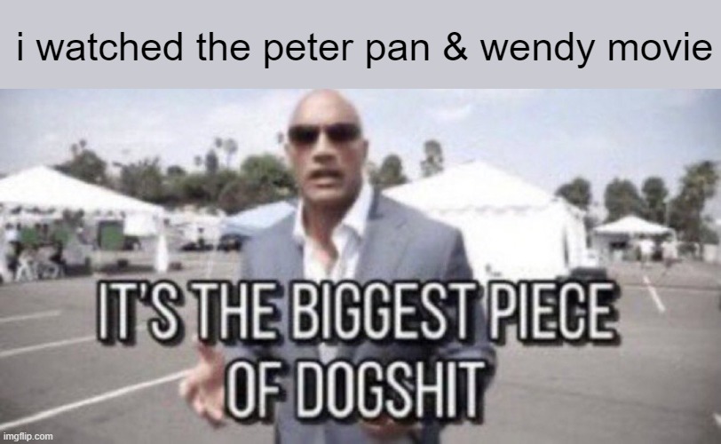 It was boring | i watched the peter pan & wendy movie | image tagged in its the biggest piece of dog s t | made w/ Imgflip meme maker