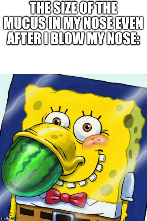 Allergies | THE SIZE OF THE MUCUS IN MY NOSE EVEN AFTER I BLOW MY NOSE: | image tagged in allergies | made w/ Imgflip meme maker