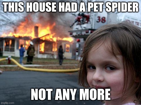 Disaster Girl | THIS HOUSE HAD A PET SPIDER; NOT ANY MORE | image tagged in memes,disaster girl | made w/ Imgflip meme maker