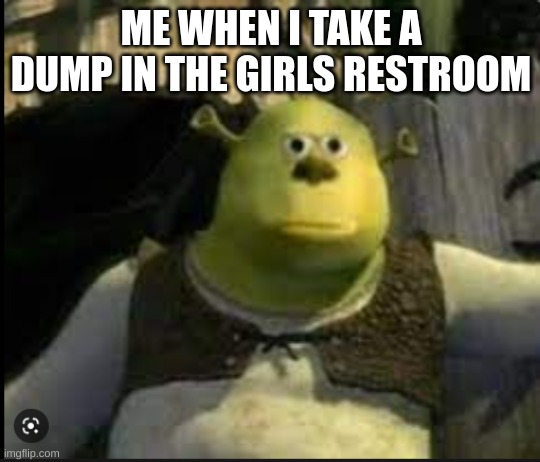 ME WHEN I TAKE A DUMP IN THE GIRLS RESTROOM | image tagged in funny memes | made w/ Imgflip meme maker