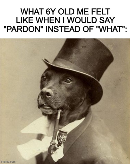 "Ig I'm a gentleman now :/" | WHAT 6Y OLD ME FELT LIKE WHEN I WOULD SAY "PARDON" INSTEAD OF "WHAT": | image tagged in blank white template | made w/ Imgflip meme maker