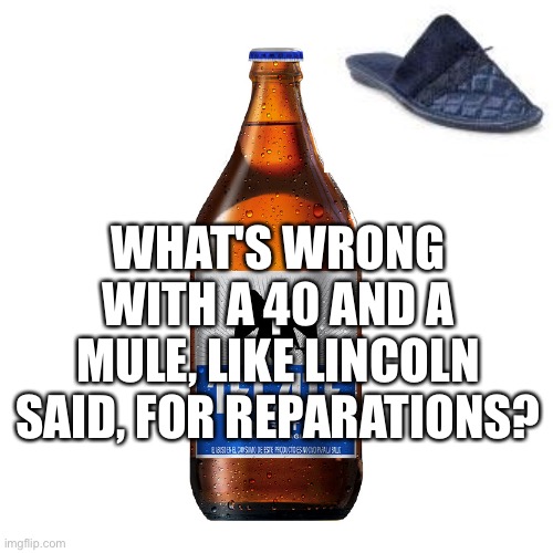 Caguama | WHAT'S WRONG WITH A 40 AND A MULE, LIKE LINCOLN SAID, FOR REPARATIONS? | image tagged in caguama | made w/ Imgflip meme maker