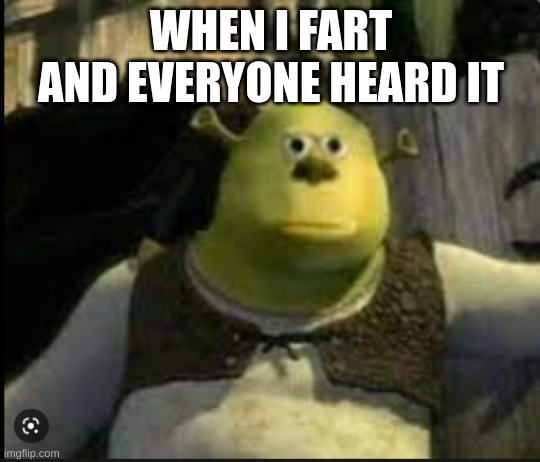 WHEN I FART AND EVERYONE HEARD IT | image tagged in funny | made w/ Imgflip meme maker