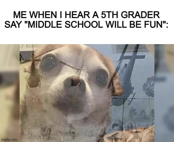 Middle school actually was fun for me ngl... | ME WHEN I HEAR A 5TH GRADER SAY "MIDDLE SCHOOL WILL BE FUN": | image tagged in blank white template,ptsd chihuahua | made w/ Imgflip meme maker