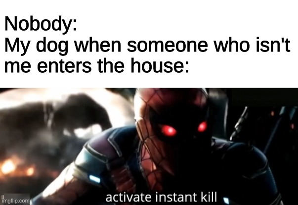 he get angy | Nobody:
My dog when someone who isn't me enters the house: | image tagged in activate instant kill | made w/ Imgflip meme maker