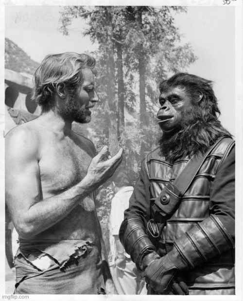 Planet of the apes | image tagged in planet of the apes | made w/ Imgflip meme maker
