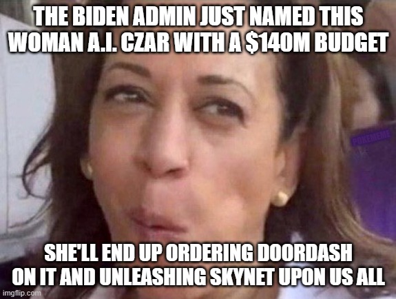 Kamala with me if you want to DIE | THE BIDEN ADMIN JUST NAMED THIS WOMAN A.I. CZAR WITH A $140M BUDGET; POKEMEME; SHE'LL END UP ORDERING DOORDASH ON IT AND UNLEASHING SKYNET UPON US ALL | image tagged in kamala harris | made w/ Imgflip meme maker