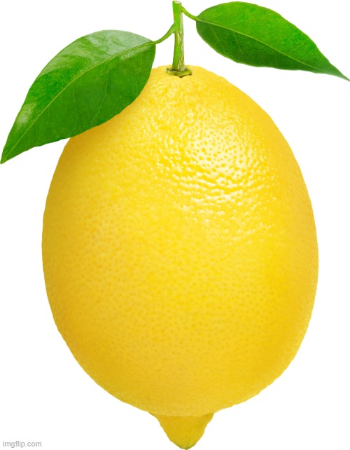 Lemon | image tagged in lemon | made w/ Imgflip meme maker