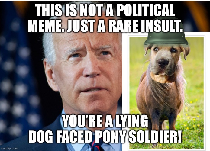 Lying Dog Faced Pony Soldier | THIS IS NOT A POLITICAL MEME. JUST A RARE INSULT. YOU’RE A LYING DOG FACED PONY SOLDIER! | image tagged in lying dog faced pony soldier | made w/ Imgflip meme maker