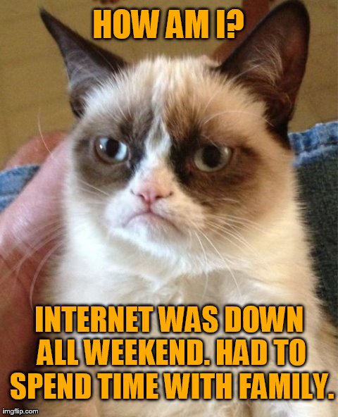 Grumpy Cat Meme | HOW AM I? INTERNET WAS DOWN ALL WEEKEND. HAD TO SPEND TIME WITH FAMILY. | image tagged in memes,grumpy cat | made w/ Imgflip meme maker