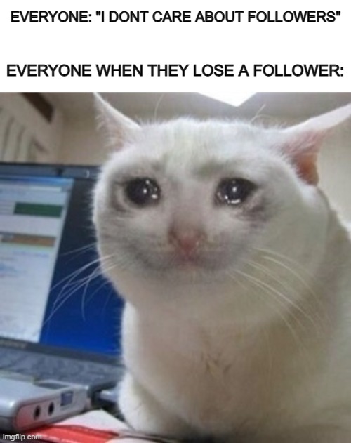Accurate U-U | EVERYONE: "I DONT CARE ABOUT FOLLOWERS"; EVERYONE WHEN THEY LOSE A FOLLOWER: | image tagged in blank white template,crying cat | made w/ Imgflip meme maker
