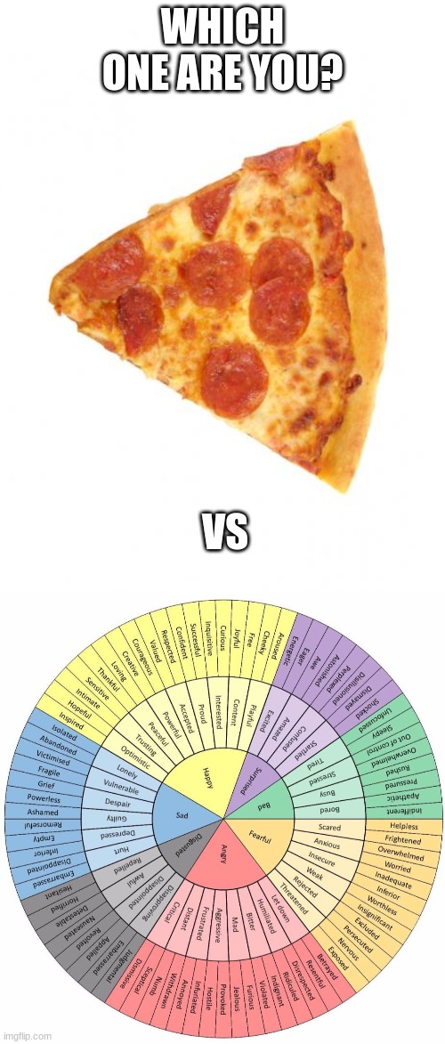 Which one am I? | WHICH ONE ARE YOU? VS | image tagged in mildly arousing pizza slice | made w/ Imgflip meme maker