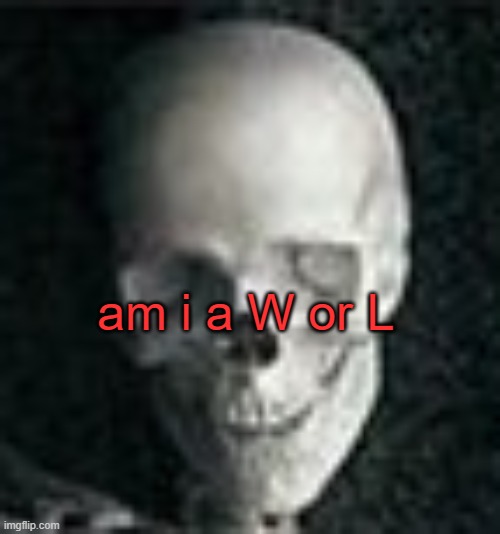 . | am i a W or L | image tagged in skull | made w/ Imgflip meme maker