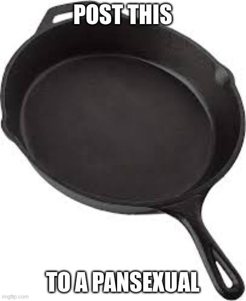 Pansexuals will understand | POST THIS TO A PANSEXUAL | image tagged in pansexuals will understand | made w/ Imgflip meme maker
