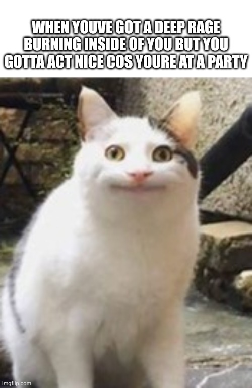 Beluga cat sus | WHEN YOUVE GOT A DEEP RAGE BURNING INSIDE OF YOU BUT YOU GOTTA ACT NICE COS YOURE AT A PARTY | image tagged in beluga cat sus | made w/ Imgflip meme maker