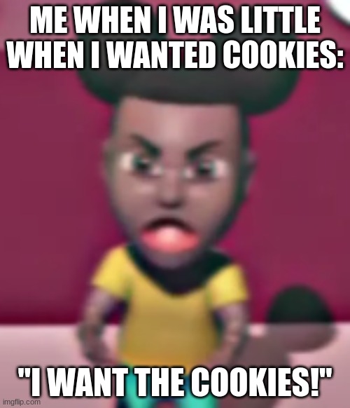 The truth | ME WHEN I WAS LITTLE WHEN I WANTED COOKIES:; "I WANT THE COOKIES!" | image tagged in funny,truth,little kid | made w/ Imgflip meme maker