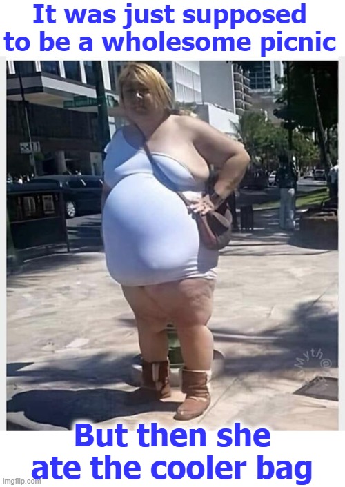 It was just supposed to be a wholesome picnic; But then she ate the cooler bag | image tagged in funny | made w/ Imgflip meme maker