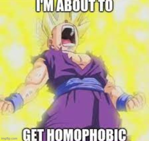 Gohan Homophobic | image tagged in gohan homophobic | made w/ Imgflip meme maker