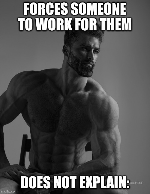 Giga Chad | FORCES SOMEONE TO WORK FOR THEM DOES NOT EXPLAIN: | image tagged in giga chad | made w/ Imgflip meme maker