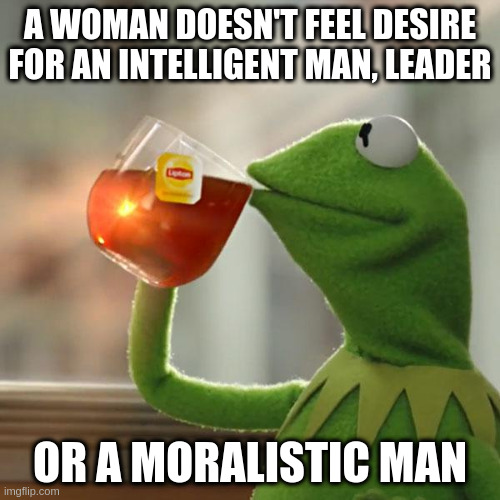 moralistic | A WOMAN DOESN'T FEEL DESIRE FOR AN INTELLIGENT MAN, LEADER; OR A MORALISTIC MAN | image tagged in memes,but that's none of my business,kermit the frog | made w/ Imgflip meme maker