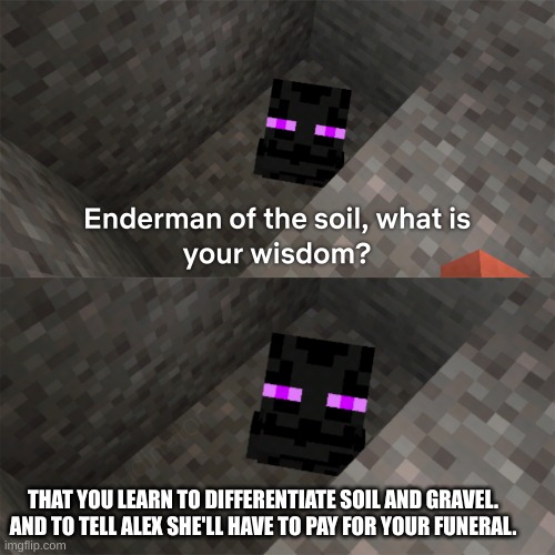 is this wrong? | THAT YOU LEARN TO DIFFERENTIATE SOIL AND GRAVEL. AND TO TELL ALEX SHE'LL HAVE TO PAY FOR YOUR FUNERAL. | image tagged in enderman of the soil | made w/ Imgflip meme maker