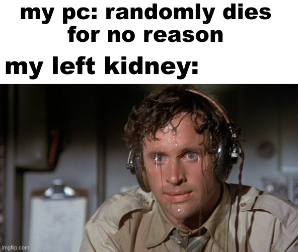 kidney value | my pc: randomly dies 
for no reason; my left kidney: | image tagged in guy sweating | made w/ Imgflip meme maker