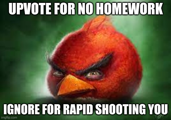 upvote | UPVOTE FOR NO HOMEWORK; IGNORE FOR RAPID SHOOTING YOU | image tagged in realistic red angry birds | made w/ Imgflip meme maker