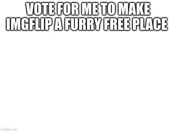 VOTE FOR ME TO MAKE IMGFLIP A FURRY FREE PLACE | made w/ Imgflip meme maker