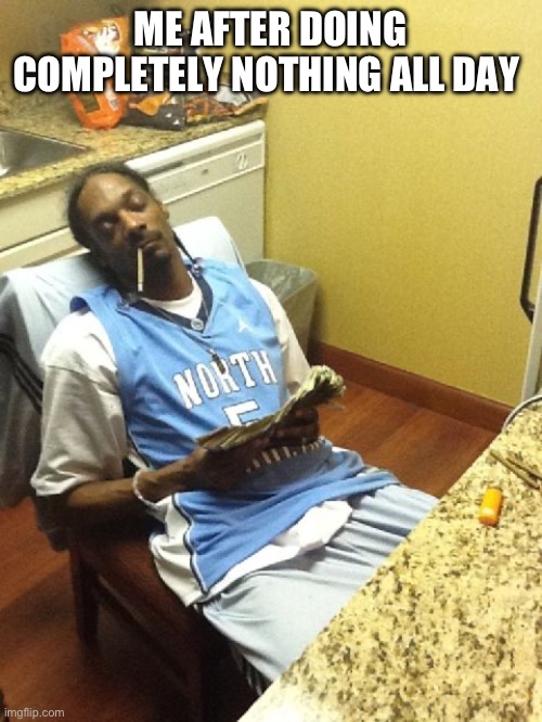 snoop dogg | ME AFTER DOING COMPLETELY NOTHING ALL DAY | image tagged in snoop dogg | made w/ Imgflip meme maker