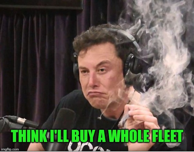 Elon Musk smoking a joint | THINK I'LL BUY A WHOLE FLEET | image tagged in elon musk smoking a joint | made w/ Imgflip meme maker